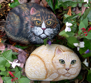 Cat Rocks