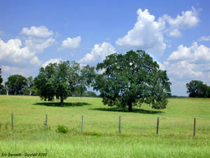 Country Fields of Tallahassee