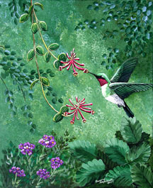 Humming Bird
