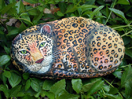 Leopard  Rock