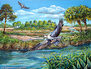 Osprey