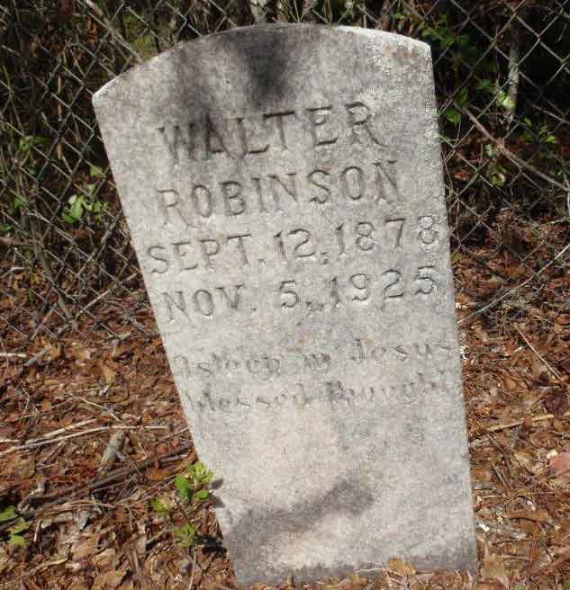 Water Robison's grave