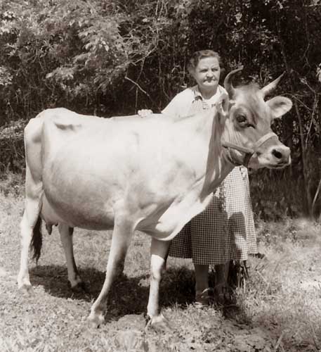 favoritecow59.jpg