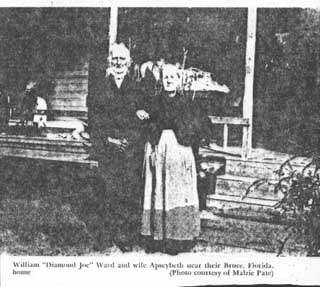 William Josiah Ward and Abesybeth Purvis Ward